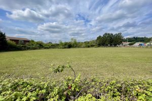 Photo 7- click for photo gallery